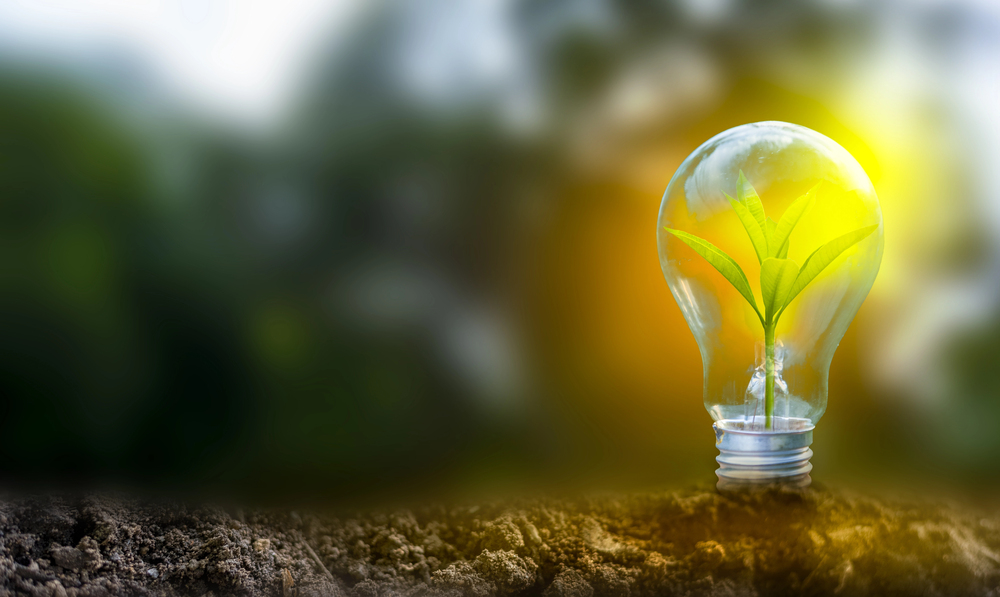 Renewable energy concept Earth Day or environment protection Hands protect forests that grow on the ground and help save the world.