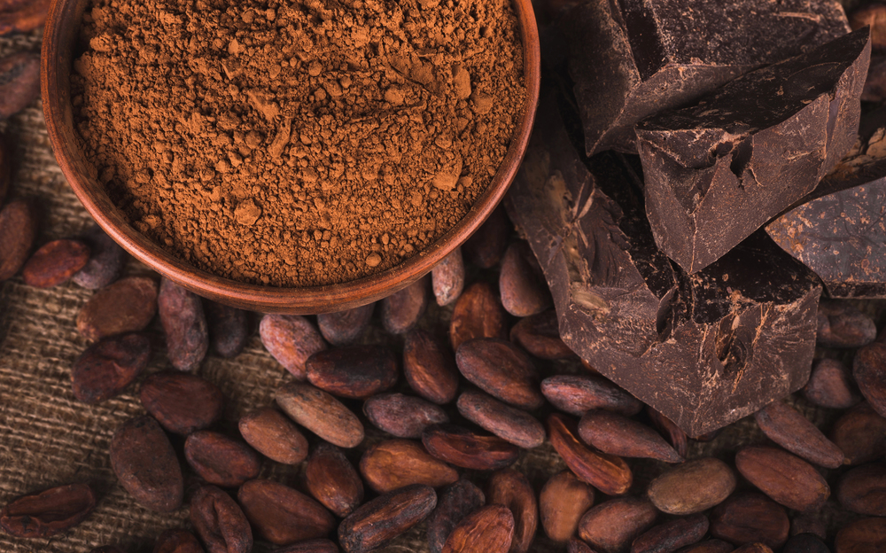 cocoa and chocolate 