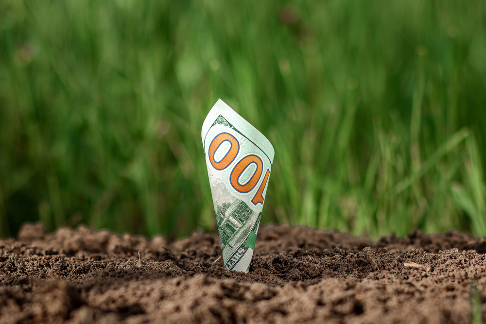 American dollars grow out of the ground