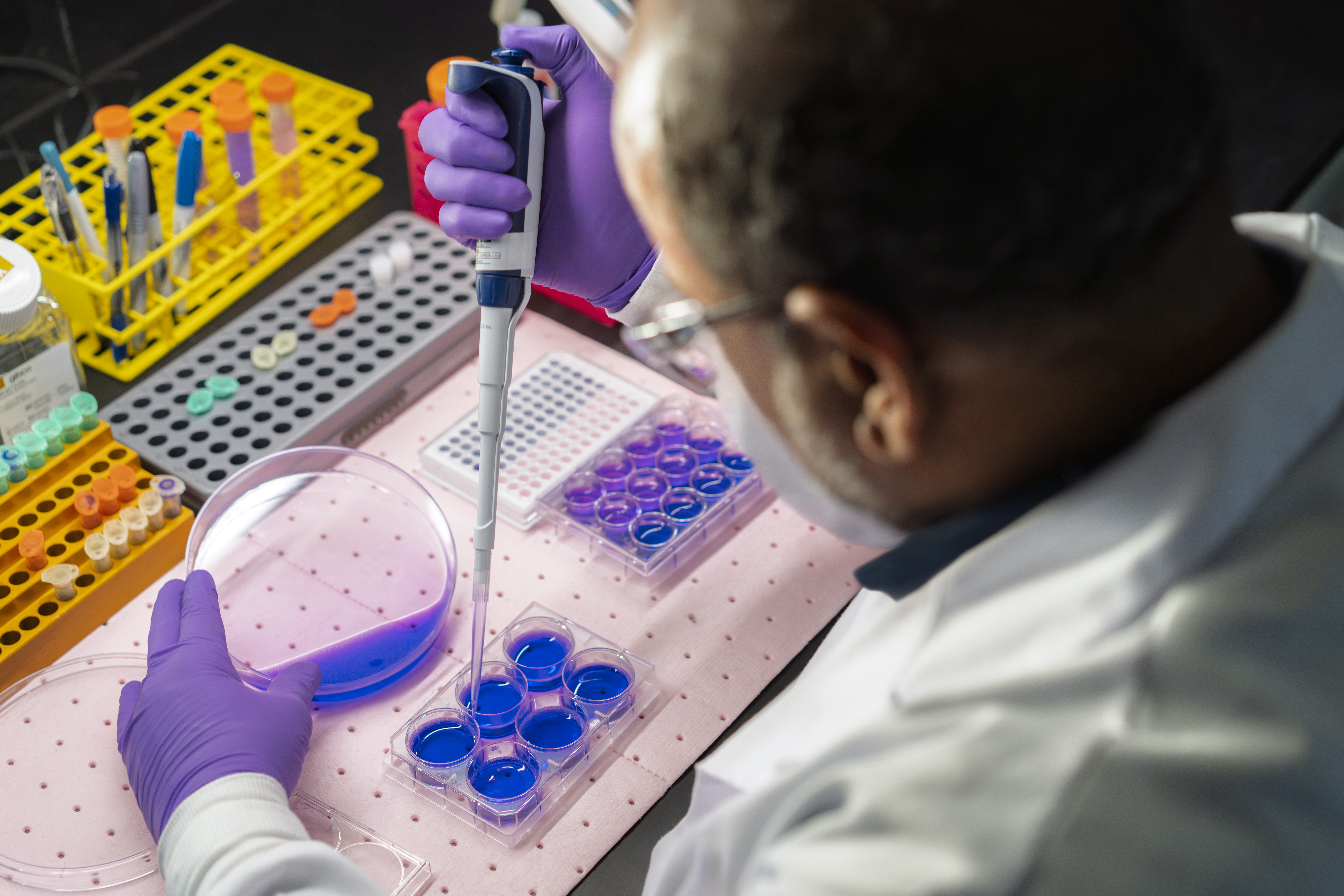 Lab technician pipetting samples in assay plates, highlighting Johnson & Johnson R&D and healthcare pipeline.