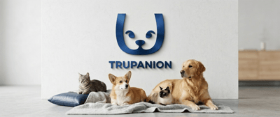 Trupanion logo displayed on a wall above a cat, corgi, siamese cat, and golden retriever.
