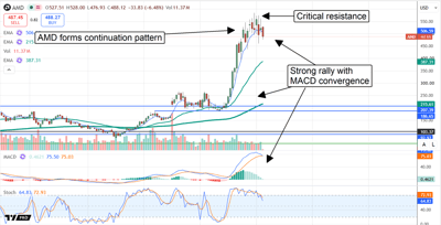 AMD stock tests critical resistance after a strong rally, with a continuation pattern and MACD signaling sustained bullish momentum.