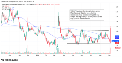 WOOF chart showing the stock down sharply the day after its most recent report.