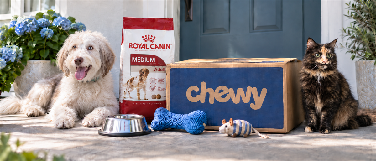 A dog and cat sit beside a Chewy delivery box, Royal Canin dog food bag, and pet supplies on a porch.