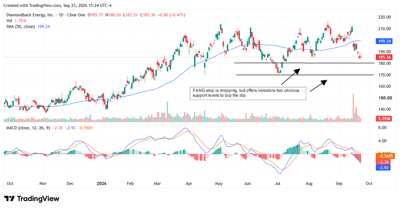 Daily candlestick stock price chart for Diamondback Energy with 50-day moving average, MACD indicator, and annotated resistance levels.