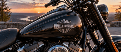 Close-up of a black Harley-Davidson motorcycle fuel tank with logo, overlooking a scenic valley at sunset.