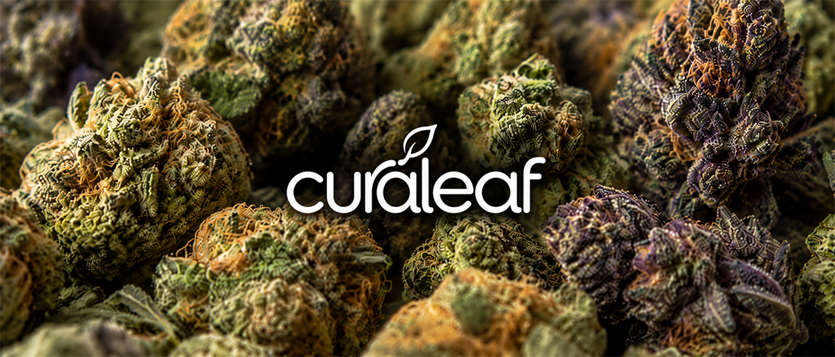 Curaleaf logo displayed over a close-up background of cannabis buds.