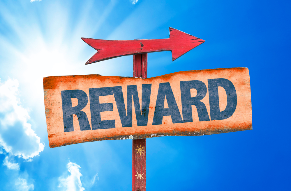 3 High-Yield Dividend Stocks to Buy Now