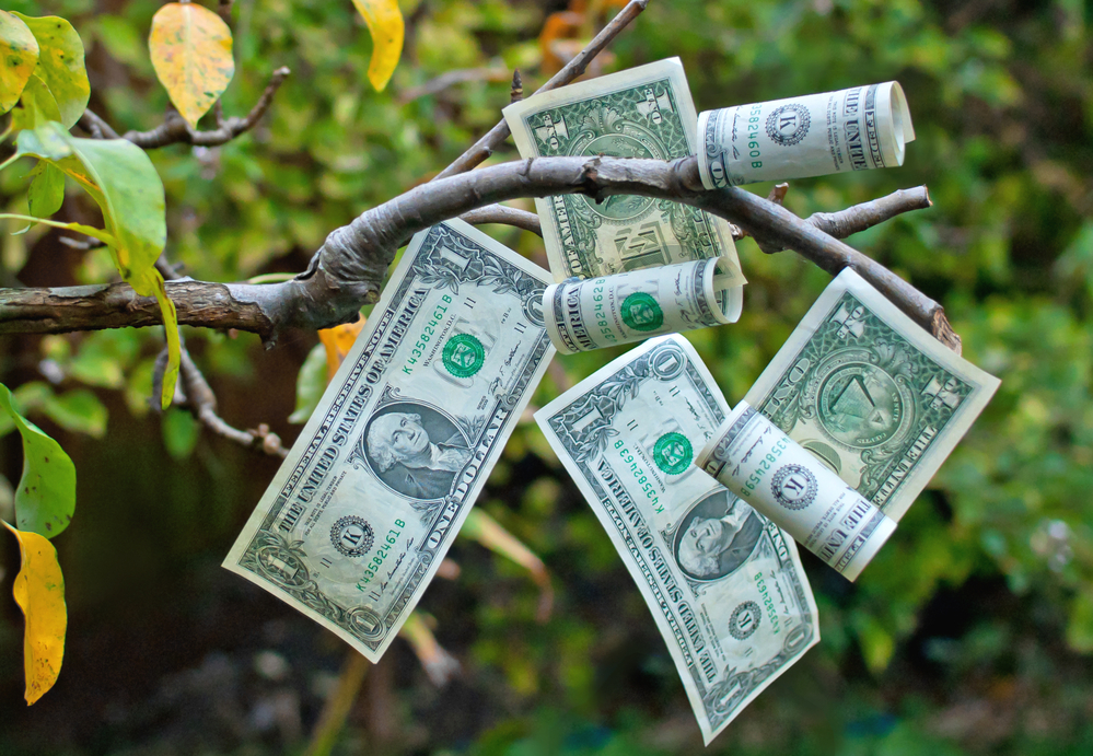 Dollar Tree Surges To All-Time Highs, And There’s More To Come 