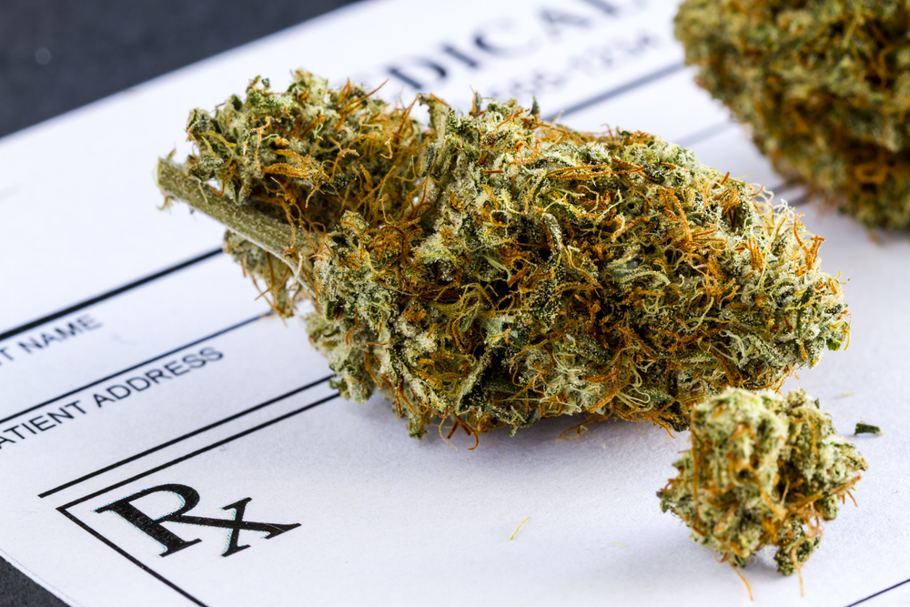Organigram Is Leading The Cannabis Market Higher