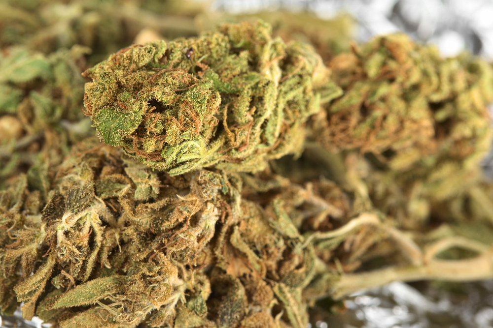 Aurora Cannabis Is Shifting Gears 