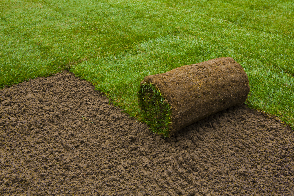 Insiders Sell SiteOne Landscape Supply, Institutions Buy It&nbsp;