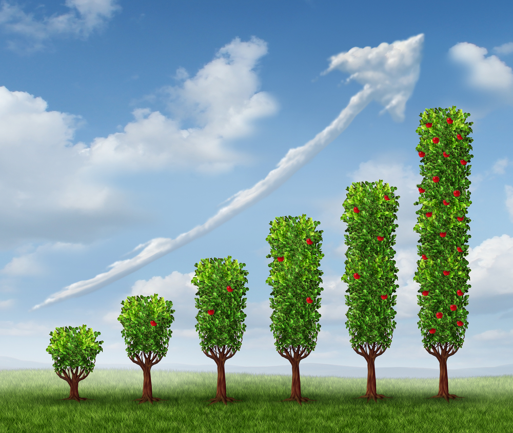 8 Best Dividend Stock ETFs and How to Invest in Them
