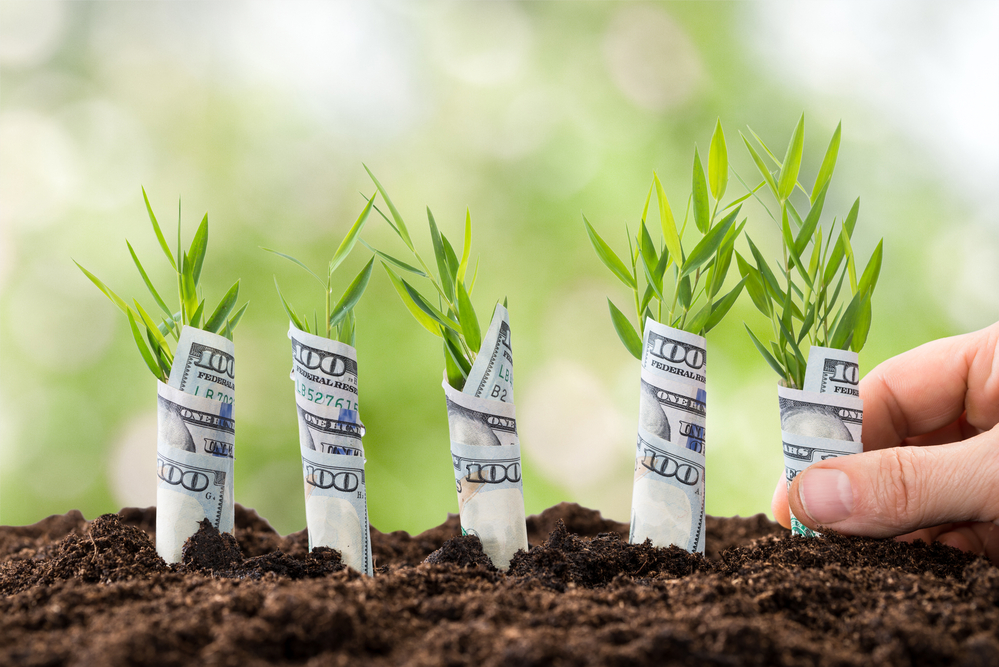How to Find Out About Dividend Stocks History