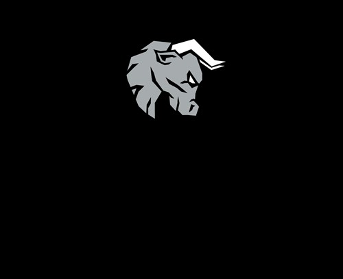 B.A.D. Etf stock logo