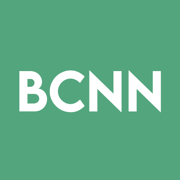 Balincan USA, Inc. stock logo