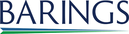 Barings Participation Investors stock logo