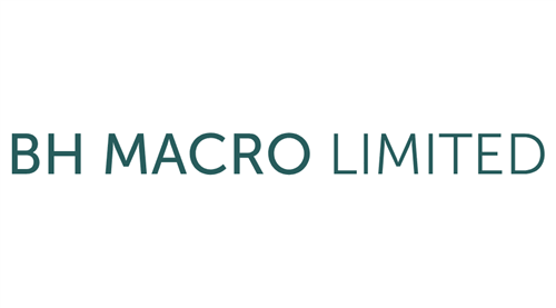 BH Macro GBP stock logo
