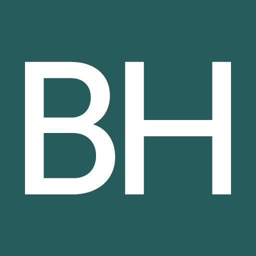 BH Macro USD stock logo