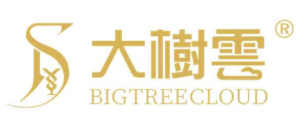 Big Tree Cloud Holdings Limited stock logo