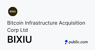 Bitcoin Infrastructure Acquisition Corp Ltd stock logo