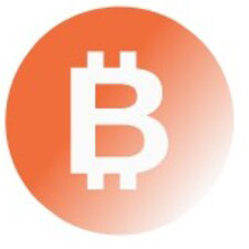 BitMine Immersion Technologies, Inc. stock logo
