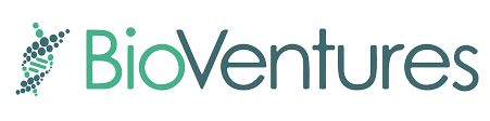 Bitventures Ltd stock logo
