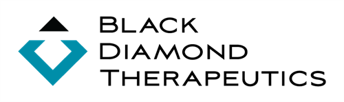 Black Diamond Therapeutics, Inc. stock logo