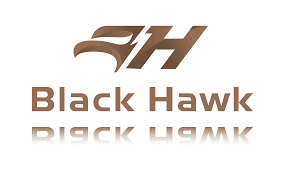 Black Hawk Acquisition Corporation stock logo