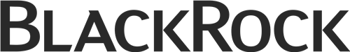 BlackRock Future Innovators ETF