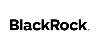BlackRock MuniYield Quality Fund II, Inc. stock logo