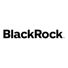 BlackRock Science and Technology Term Trust