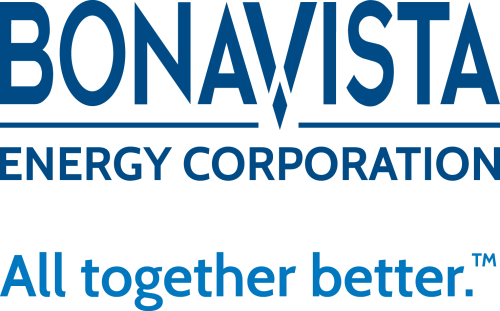 Bonavista Energy Co. (BNP.TO) stock logo