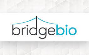 BridgeBio Oncology Therapeutics, Inc stock logo