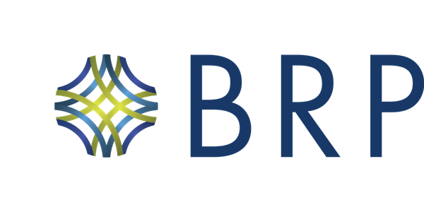 The Baldwin Insurance Group, Inc. stock logo