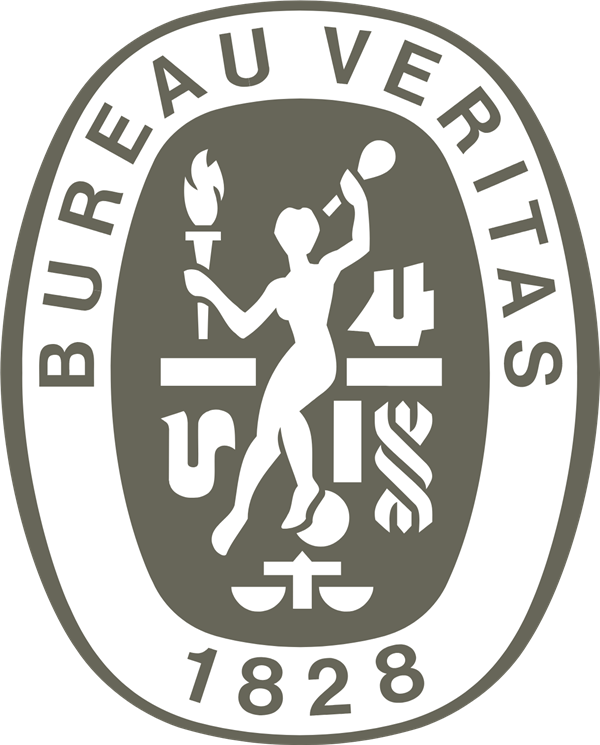 Bureau Veritas Registre International De Classification stock logo