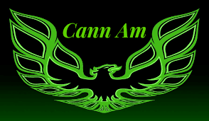 Cann American