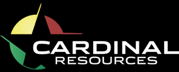 Cardinal Resources Limited (CDV.TO)
