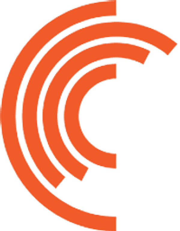 Cerebras Systems Inc. stock logo