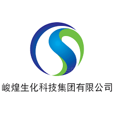 China Sun Group High-Tech