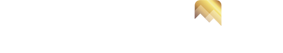 Corporate Travel Management Limited stock logo