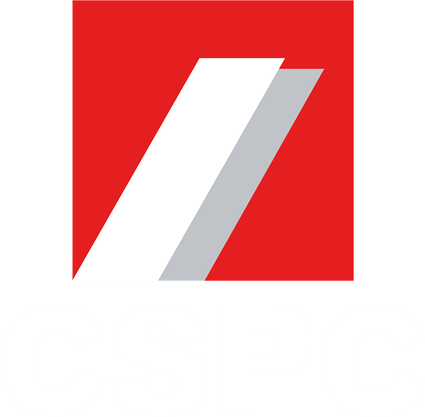 CSPC Pharmaceutical Group