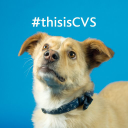 CVS Group plc stock logo