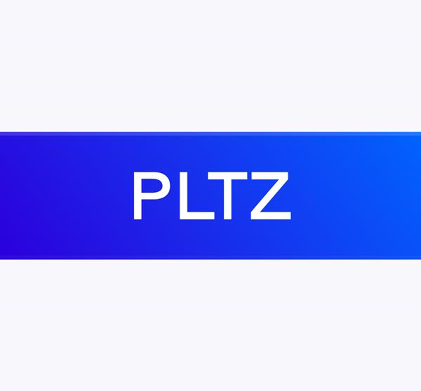 Defiance Daily Target 2X Short PLTR ETF stock logo