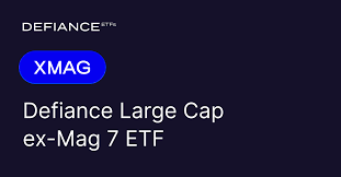 Defiance Large Cap ex-Mag 7 ETF stock logo