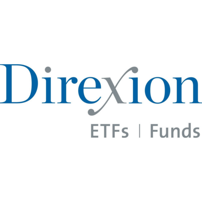 Direxion Daily PLTR Bull 2X Shares stock logo