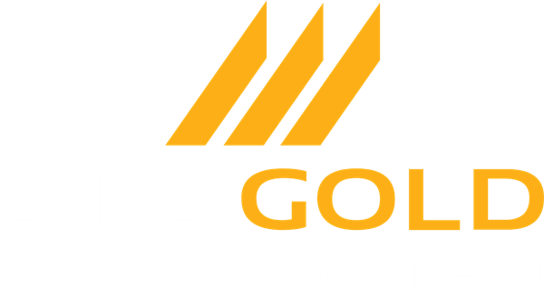 DRDGOLD Limited stock logo