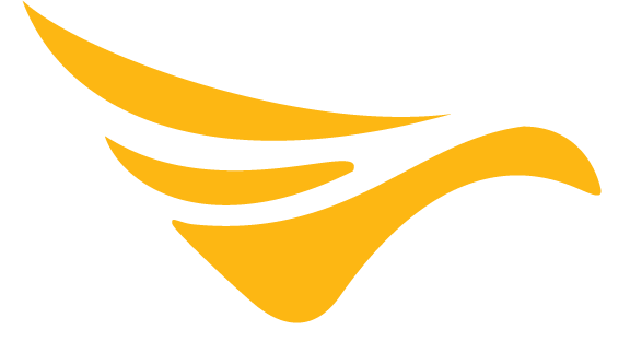 Drone Delivery Canada Corp. stock logo