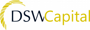 DSW Capital plc stock logo