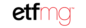 Amplify Cybersecurity ETF stock logo